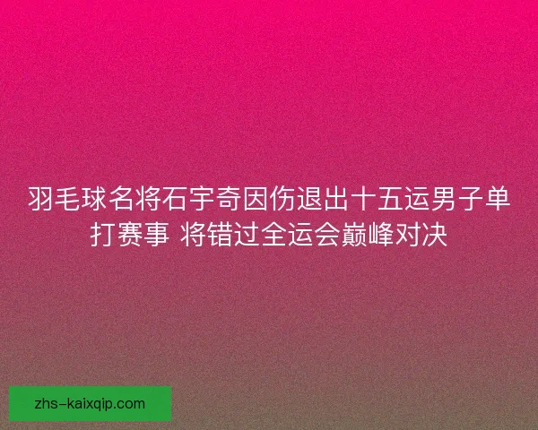 羽毛球名将石宇奇因伤退出十五运男子单打赛事 将错过全运会巅峰对决